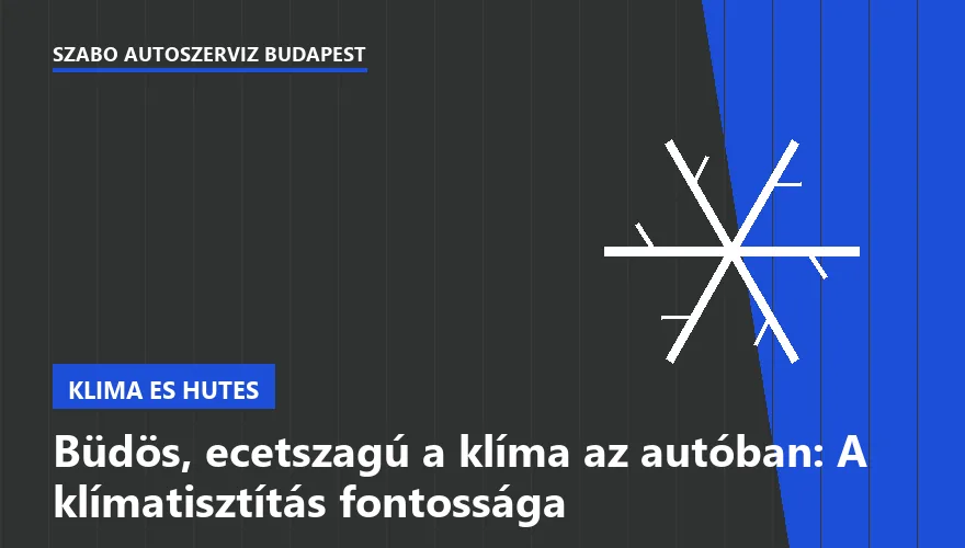 Büdös, ecetszagú a klíma az autóban: A klímatisztítás fontossága - 2. ábra