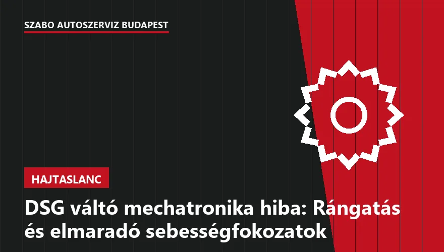 DSG váltó mechatronika hiba: Rángatás és elmaradó sebességfokozatok - 2. ábra