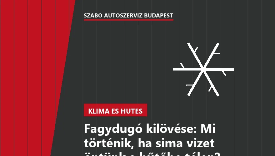 Fagydugó kilövése: Mi történik, ha sima vizet öntünk a hűtőbe télen?