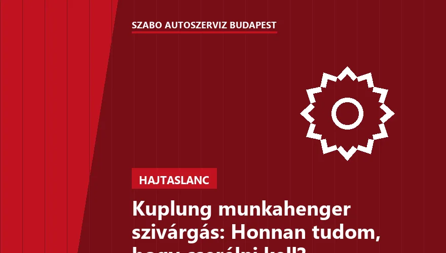 Kuplung munkahenger szivárgás: Honnan tudom, hogy cserélni kell? - 1. ábra