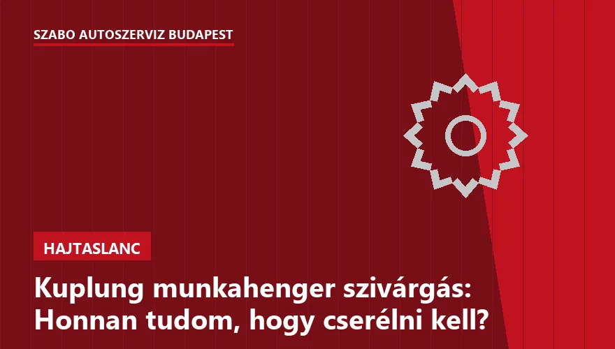 Kuplung munkahenger szivárgás: Honnan tudom, hogy cserélni kell? - 2. ábra