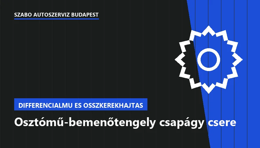 Osztómű-bemenőtengely csapágy csere - autószerviz Budapest, Szabó Autószervíz műhely