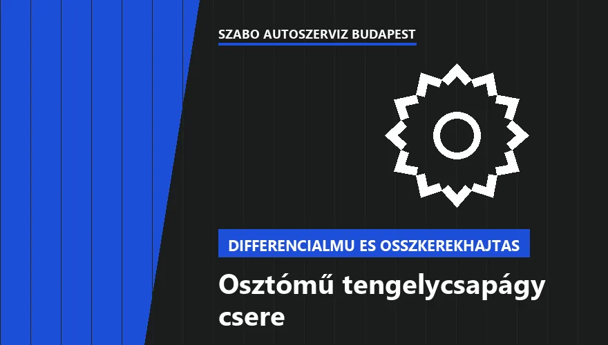 Osztómű tengelycsapágy csere a Szabó Autószervíz Budapest szervizében