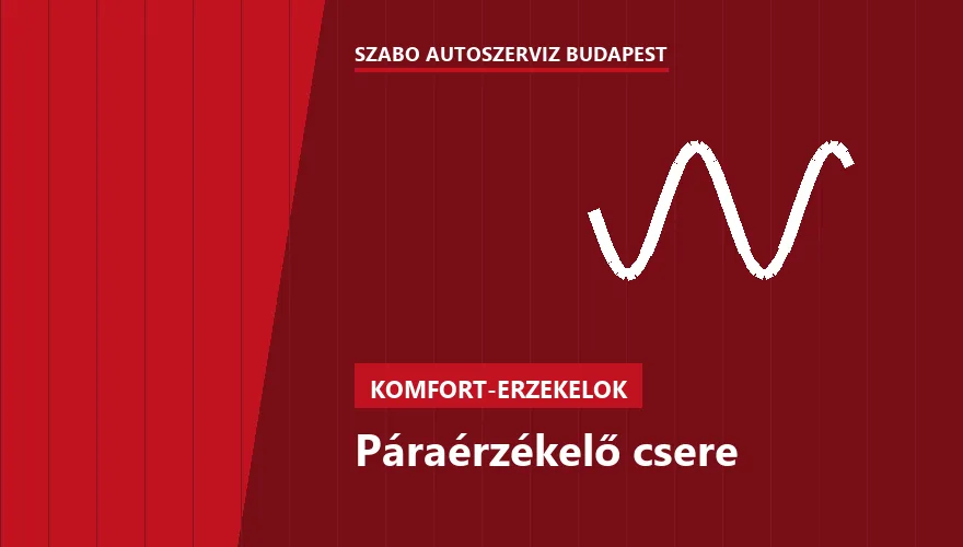 Páraérzékelő csere - autószerviz Budapest, Szabó Autószervíz műhely
