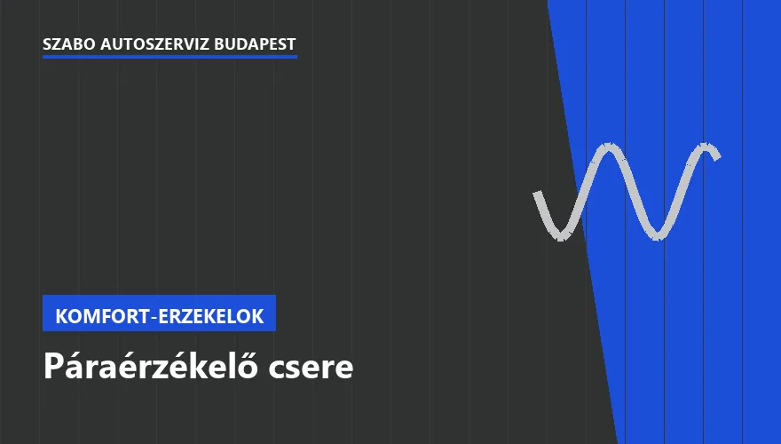 Páraérzékelő csere a Szabó Autószervíz Budapest szervizében