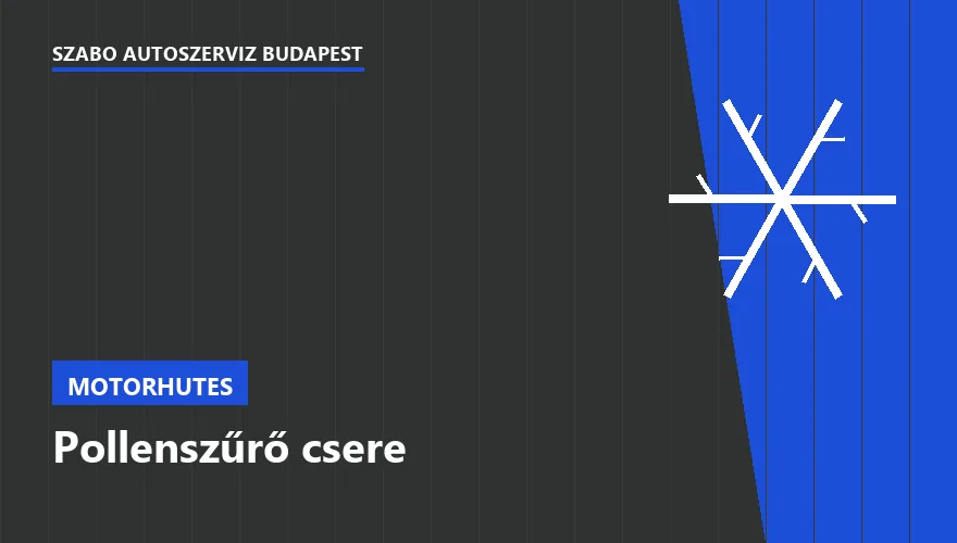 Pollenszűrő csere a Szabó Autószervíz Budapest szervizében