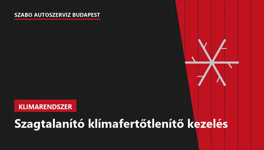 Szagtalanító klímafertőtlenítő kezelés - autószerviz Budapest, Szabó Autószervíz műhely