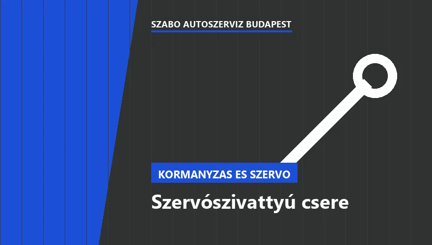 Szervószivattyú csere - autószerviz Budapest, Szabó Autószervíz műhely