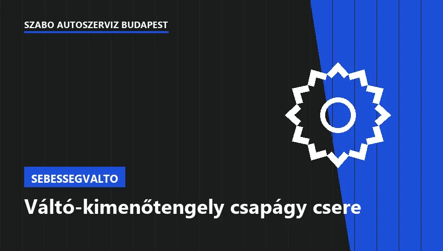 Váltó-kimenőtengely csapágy csere - autószerviz Budapest, Szabó Autószervíz műhely